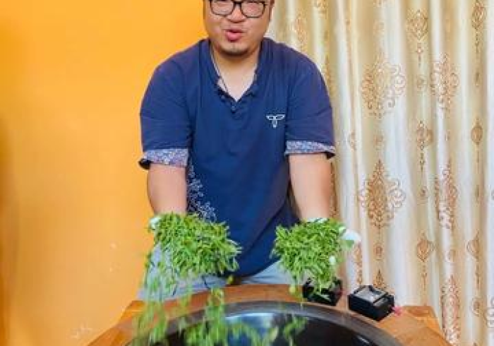 房卡必备教程“狂飙大厅牛牛金花房卡”房卡怎么购买