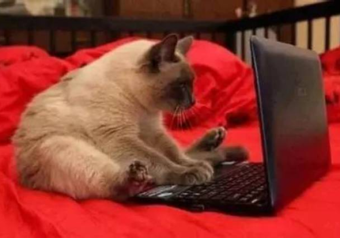 一分钟实测分享“斗牛房卡链接哪里买”房卡使用教程