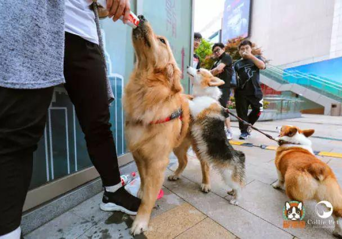 给大家讲解“微信房卡斗牛透视原理”房卡怎么购买 给大家讲解“微信房卡斗牛透视原理”房卡怎么购买