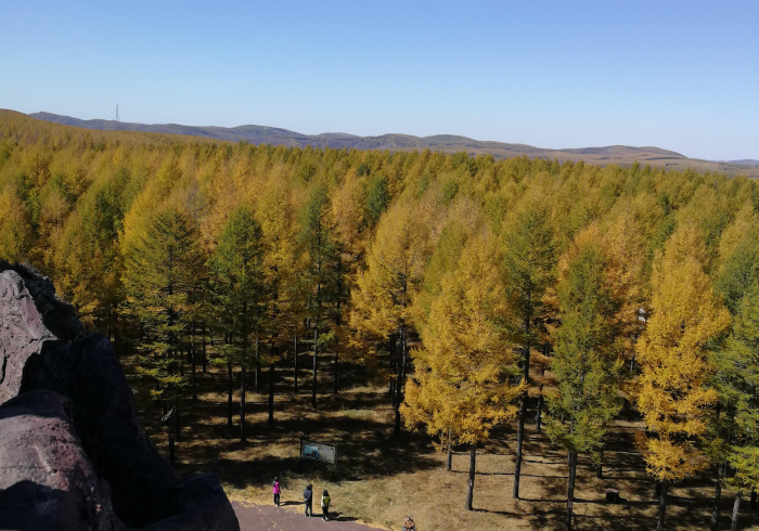 我 来 告 诉 你 ” 云 游 科 技 到 底 有 挂 吗 ” ( 详 细 透 视 教 程 ) 我 来 告 诉 你 ” 云 游 科 技 到 底 有 挂 吗 ” ( 详 细 透 视 教 程 )