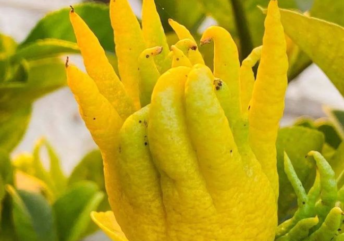 秒懂百科“微信牛牛怎么充值房卡”房卡详细充值 秒懂百科“微信牛牛怎么充值房卡”房卡详细充值