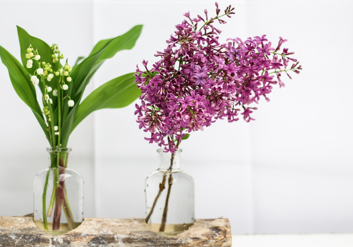 4分钟讲解＂花花生活圈能调胜率吗[确实真的有挂]