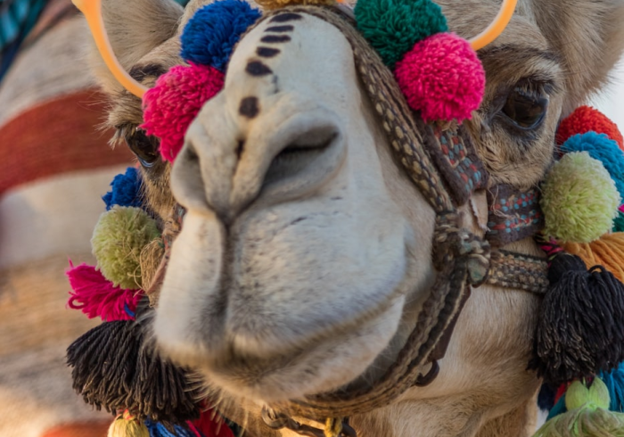 一分钟实测分享“微信链接皇豪互娱是真的吗”房卡获取方式 一分钟实测分享“微信链接皇豪互娱是真的吗”房卡获取方式
