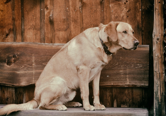 一分钟介绍使用“斗牛房卡在哪购买”房卡使用教程 一分钟介绍使用“斗牛房卡在哪购买”房卡使用教程
