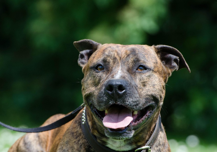 一分钟实测分享“棋牌挂试用6小时免费用”购买房卡介绍