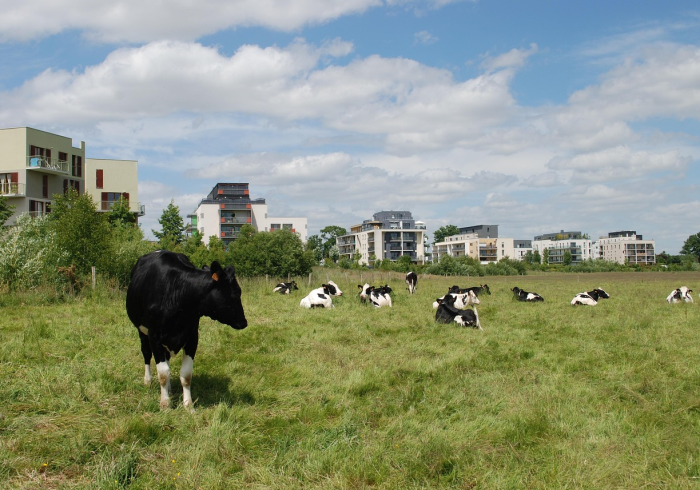 一分钟了解“微信链接牛牛房卡”房卡获取方式 一分钟了解“微信链接牛牛房卡”房卡获取方式