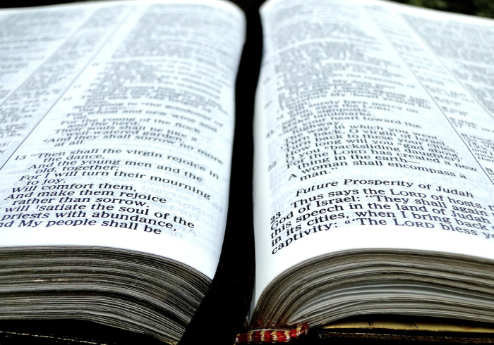 玩家测评“新蜜瓜大厅在哪买房”轻松获取房卡全渠道