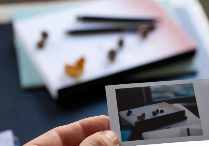 给大家讲解“新道游平台房卡”详细房卡使用教程 给大家讲解“新道游平台房卡”详细房卡使用教程